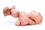 Top Ginger Exporters