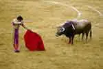 Spanish matador fights bull