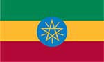 Ethiopia’s top 10 exports