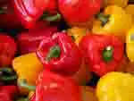 Sweet peppers red and yellow