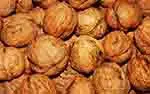 Top Walnuts Exporters by Country