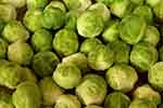 Brussels sprouts (courtesy of Pixabay.com)