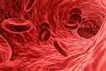 Red blood cells (courtesy of Pixabay.com)