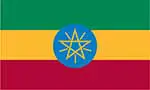 Ethiopia’s top 10 imports Ethiopian flag