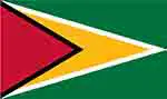 Guyana flag (courtesy of flagpictures.org)