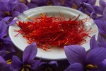 Saffron flowers with crimson stigmas